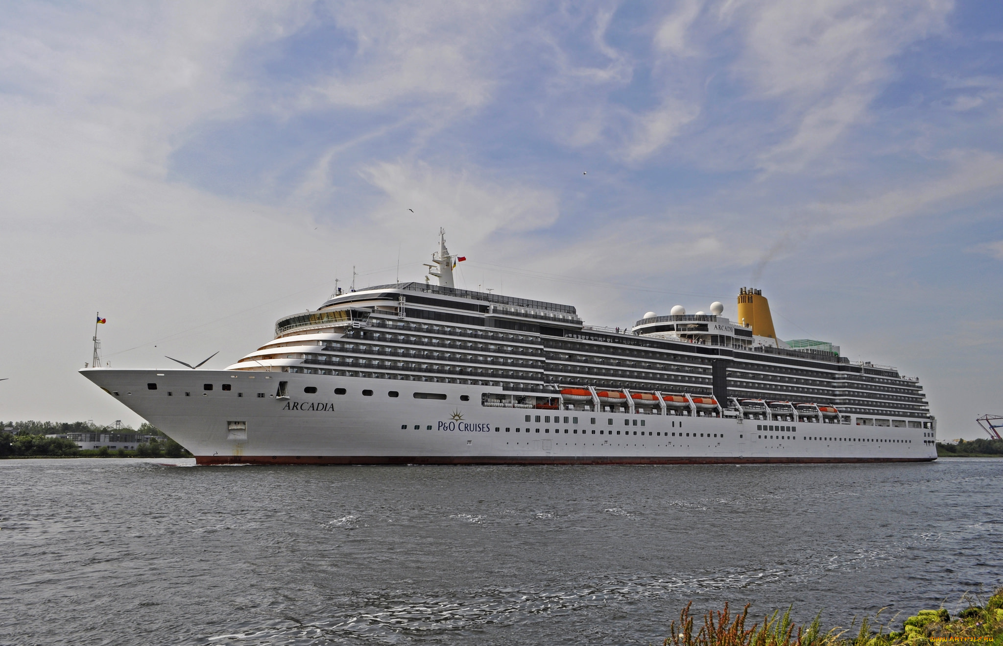 p&o cruises arcadia, , , , 